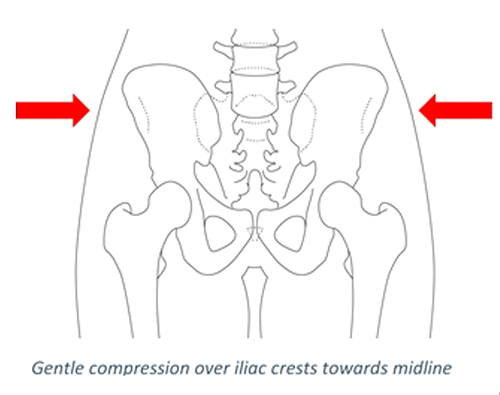 Pelvis and perineum 